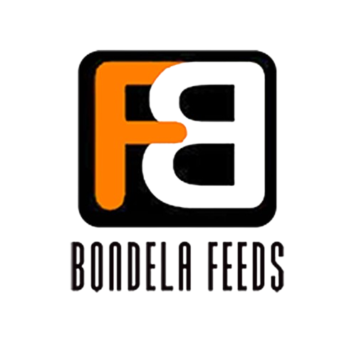 Bondela – Bondela